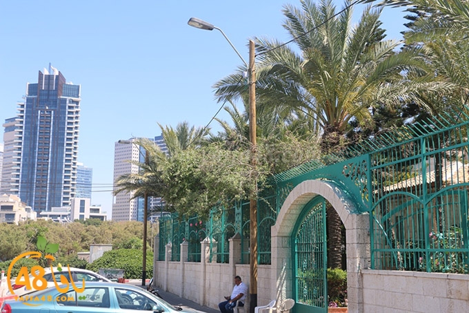 inara 7sanbek (7).JPG